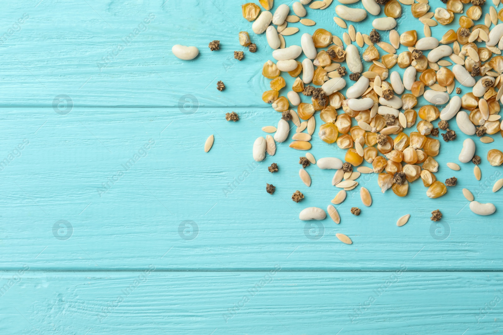 Photo of Mixed vegetable seeds on light blue wooden background, flat lay. Space for text