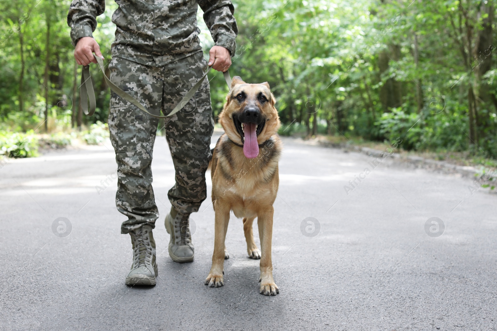 Photo of Man in military uniform with German shepherd dog, outdoors