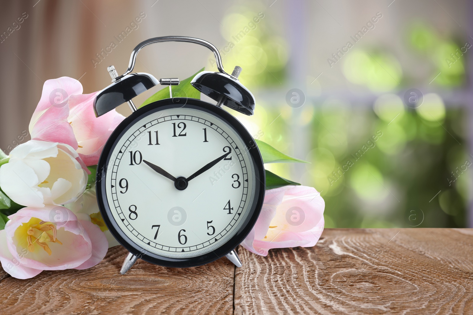 Image of Alarm clock and flowers on table against blurred background. Spring time