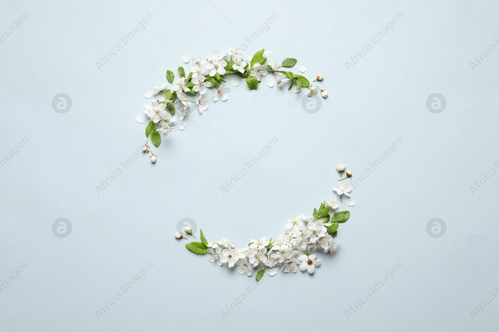 Photo of Beautiful frame of spring tree blossoms on light background, flat lay. Space for text