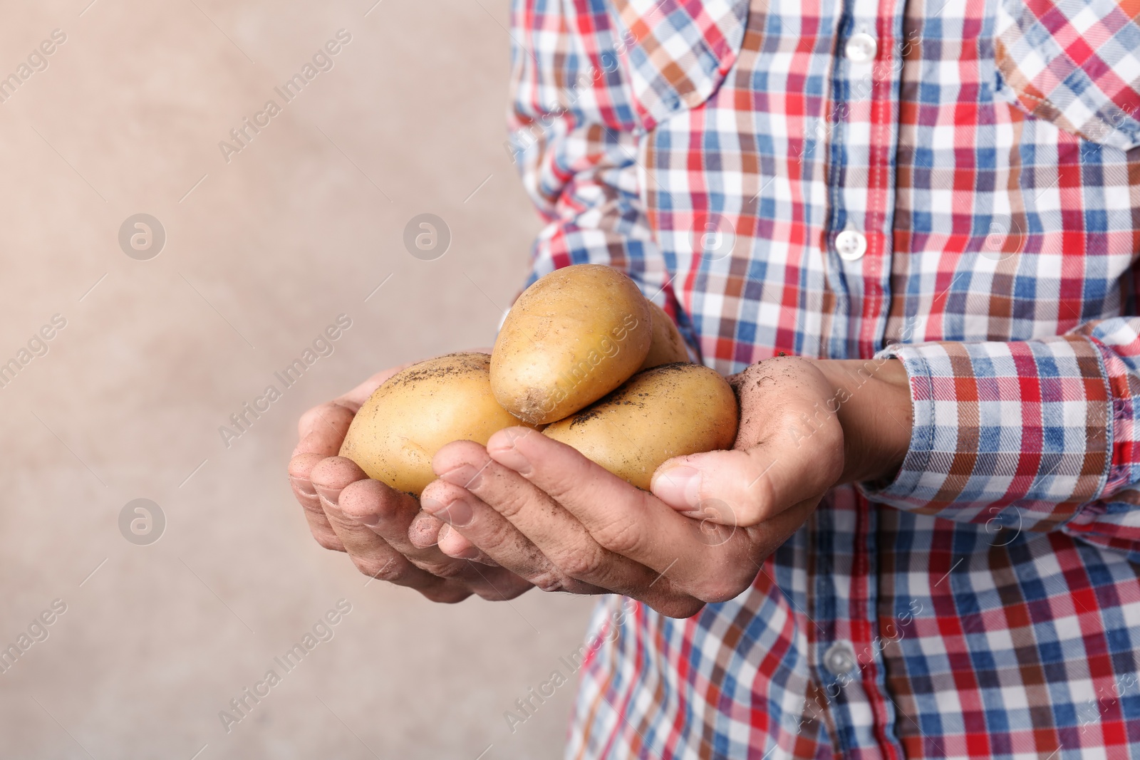 Photo of Person holding handful of fresh organic potatoes on color background