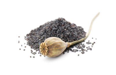 Photo of Poppy seeds and dried pod on white background