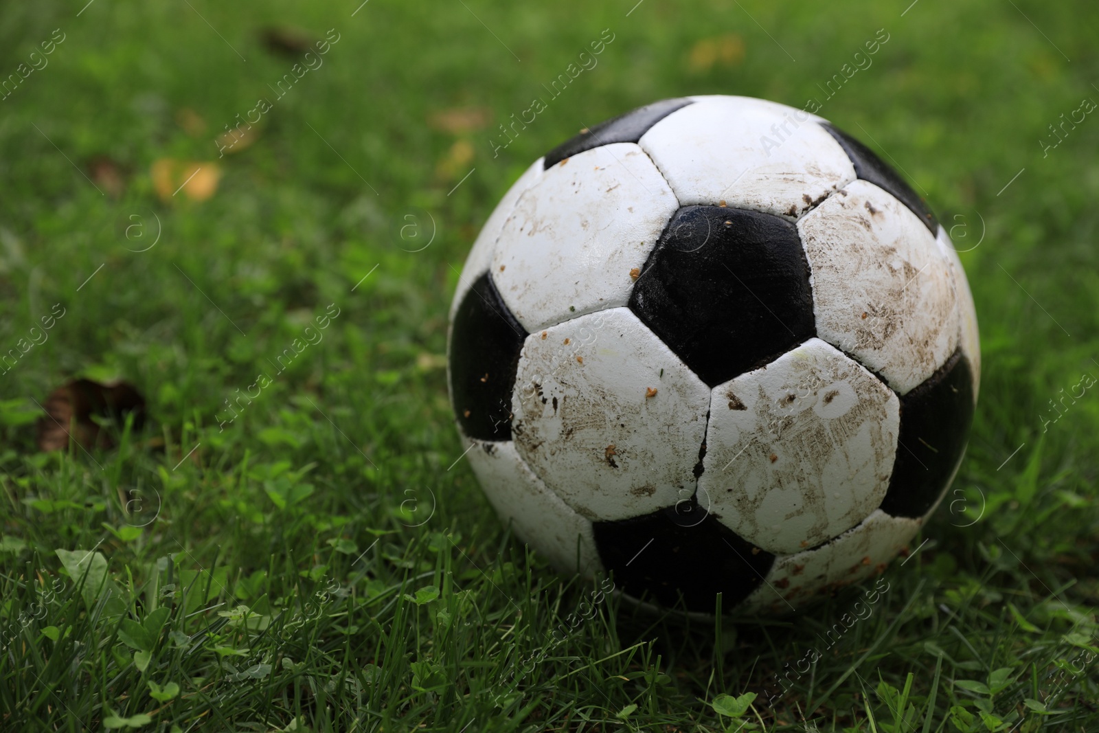 Photo of Dirty soccer ball on green grass outdoors, closeup. Space for text