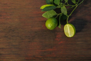 Photo of Branch with fresh leaves and limes on wooden table, top view. Space for text