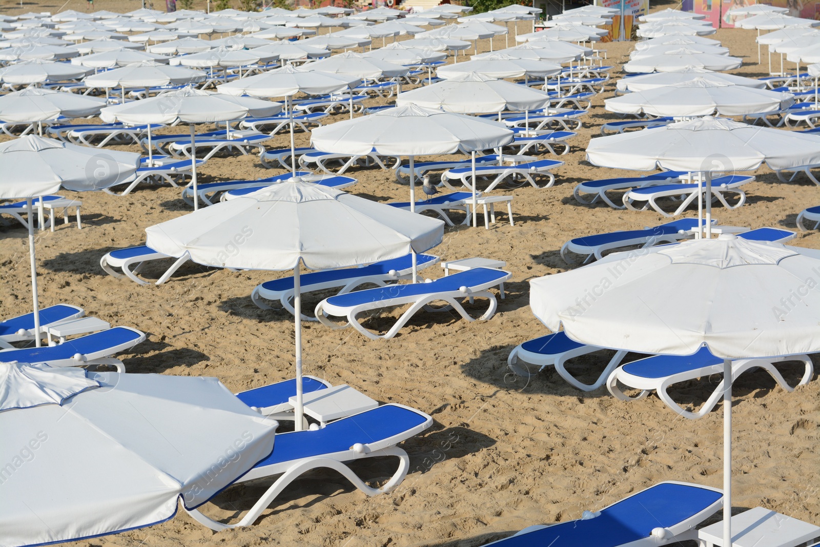 Photo of Many beach umbrellas and sunbeds on resort