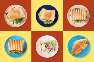Set of different yummy sandwiches on color background, top view 