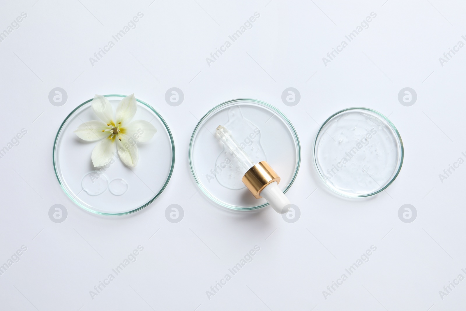 Photo of Petri dishes with samples of cosmetic oil, pipette and beautiful flower on white background, flat lay