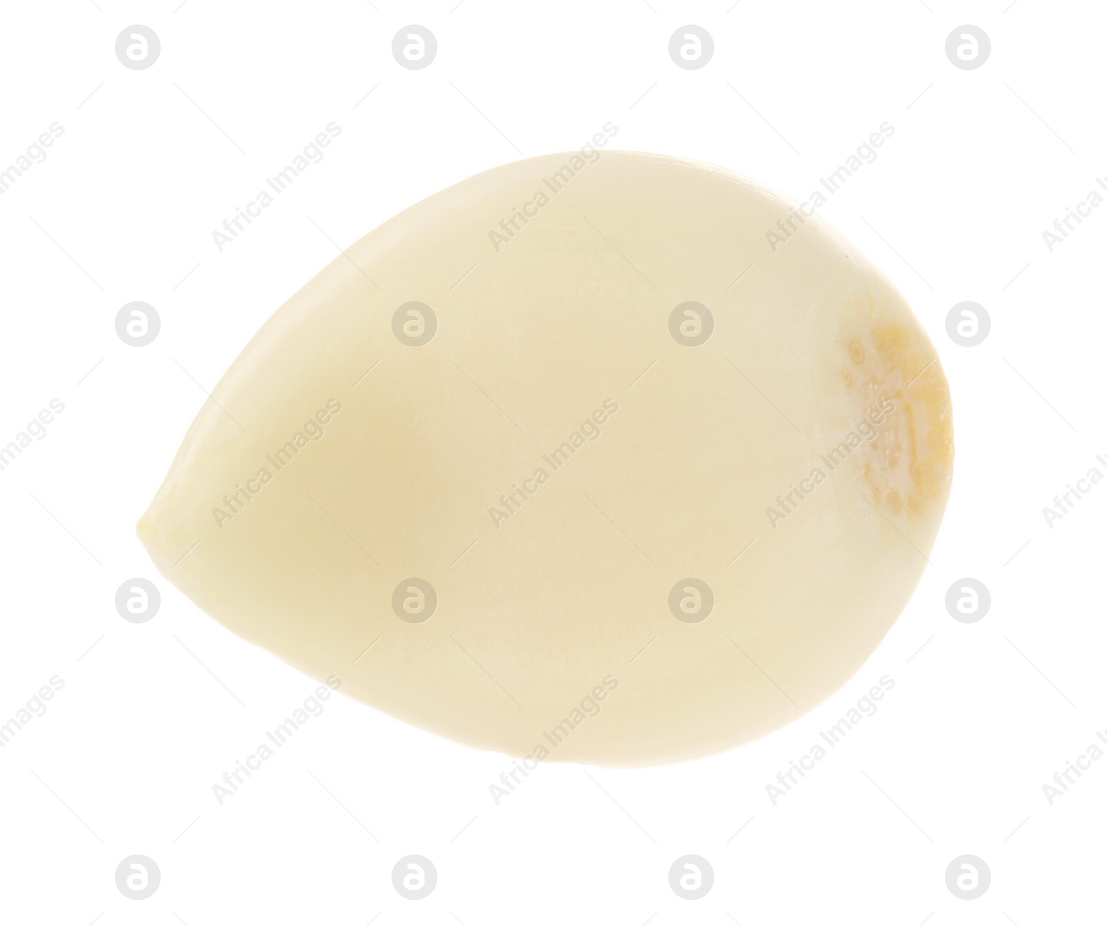 Photo of One peeled clove of garlic isolated on white