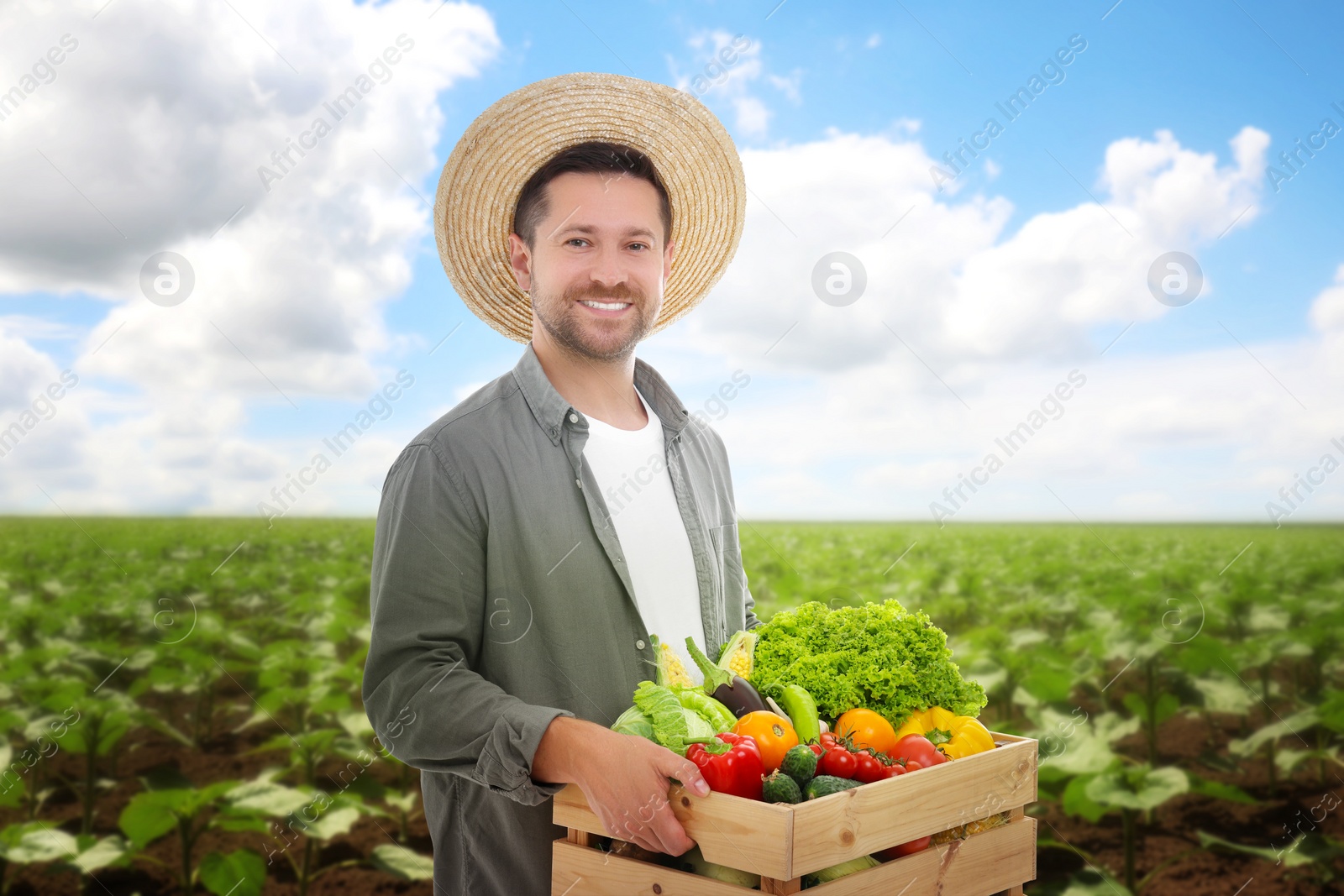 Image of Harvesting season. Farmer holding wooden crate with crop in field