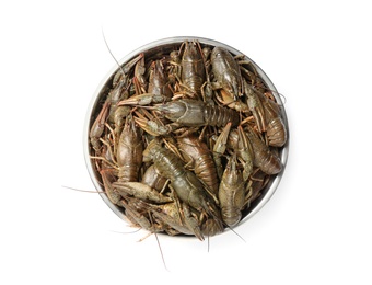 Photo of Fresh raw crayfishes isolated on white, top view. Healthy seafood