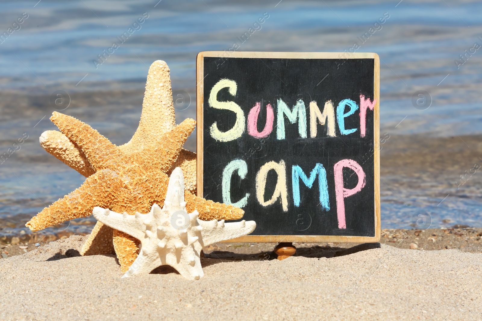 Photo of Little blackboard with text SUMMER CAMP and sea stars on sand near sea