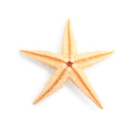 Beautiful sea star (starfish) isolated on white, top view