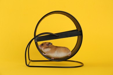 Cute little hamster in spinning wheel on yellow background