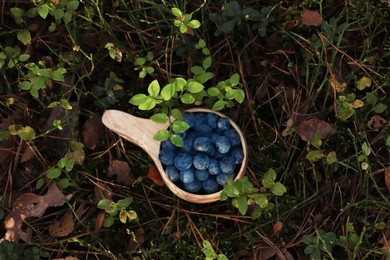 Photo of Wooden mug full of fresh ripe blueberries in grass, above view