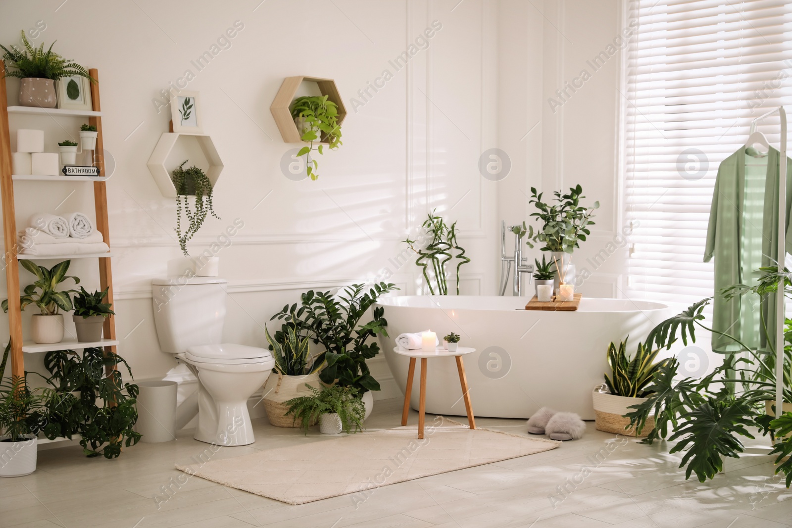 Photo of Stylish white bathroom interior with toilet bowl and green houseplants