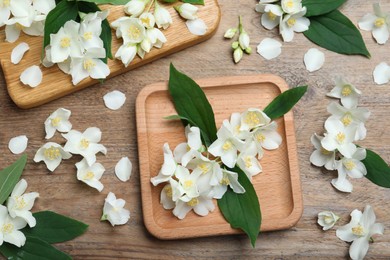 Flat lay composition with beautiful jasmine flowers on wooden background