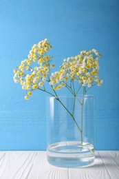 Photo of Beautiful dyed gypsophila flowers in glass vase on white wooden table against light blue background