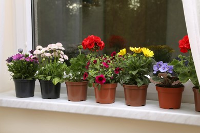 Photo of Different beautiful potted flowers on windowsill indoors