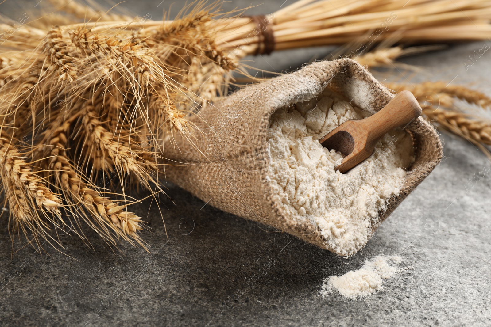 Photo of Sack of flour with wooden scoop and wheat ears on grey table