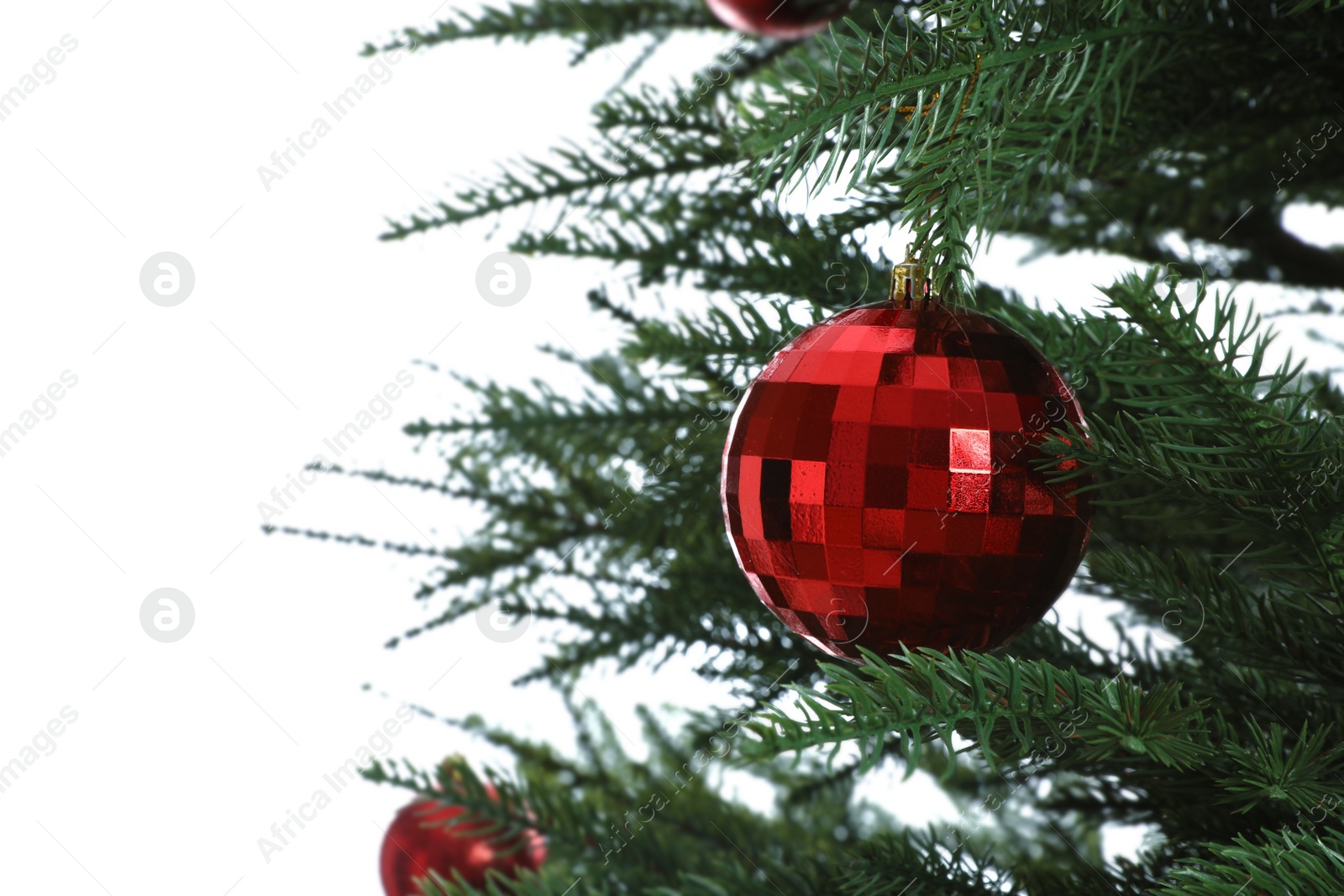 Photo of Beautiful Christmas tree with red bauble on white background, closeup