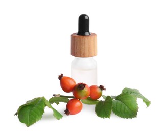 Photo of Bottle of essential oil and rose hips on white background