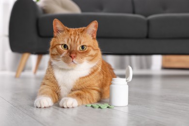 Photo of Cute ginger cat and vitamin pills indoors. Space for text