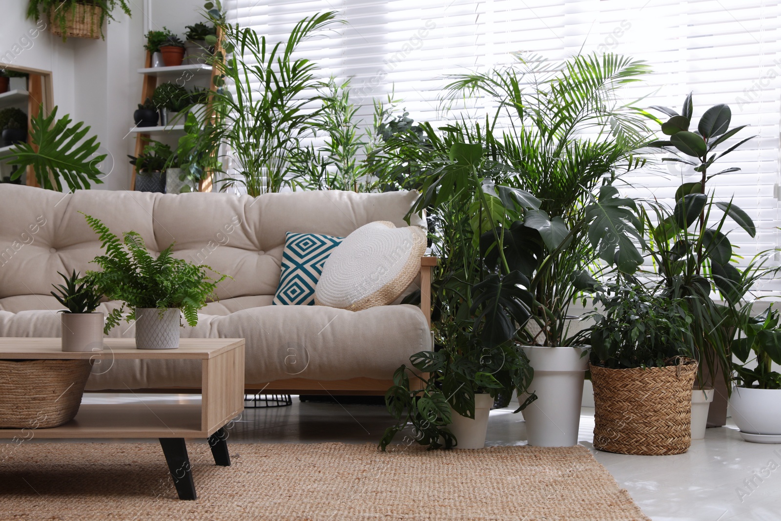 Photo of Stylish room interior with comfortable sofa and beautiful potted plants. Lounge zone