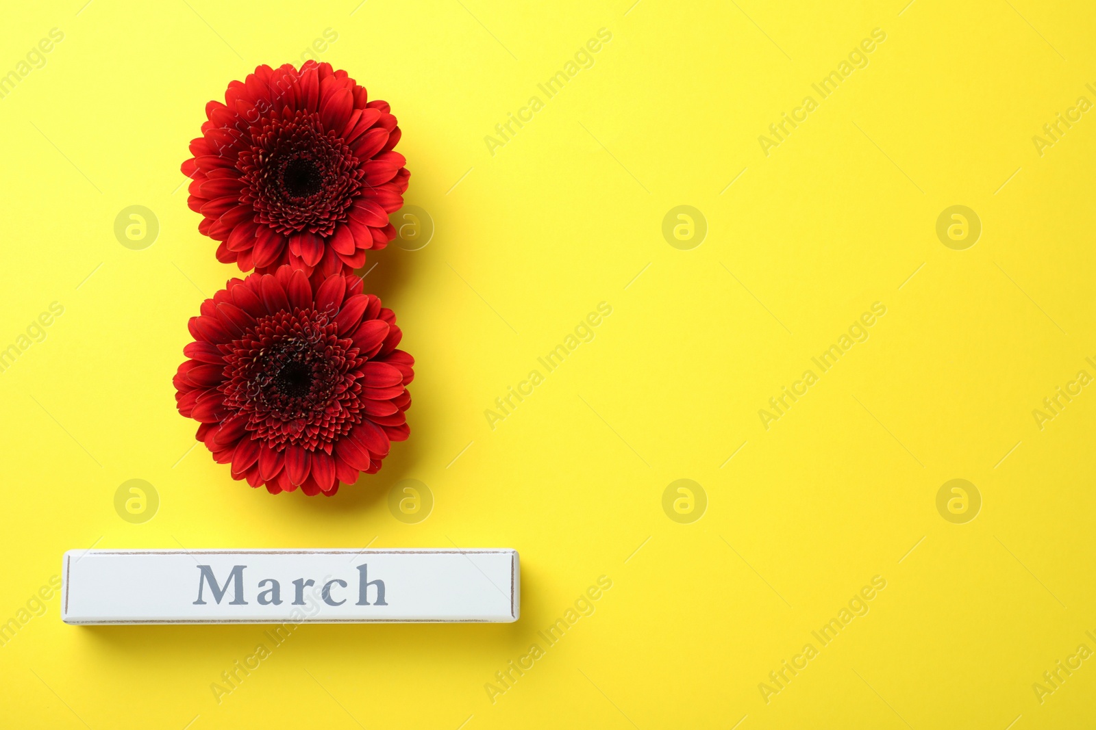 Photo of 8 March greeting card design with red gerberas and space for text on yellow background, flat lay. International Women's day