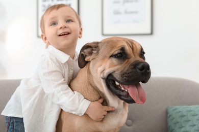 Cute little child with dog on couch at home