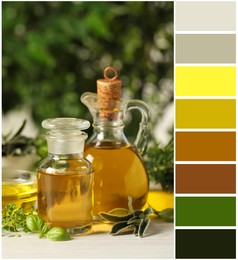 Image of Different fresh herbs with oils on white wooden table and color palette. Collage