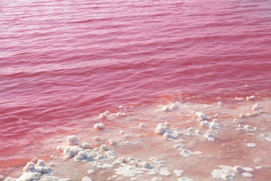 Beautiful view of pink lake on sunny day