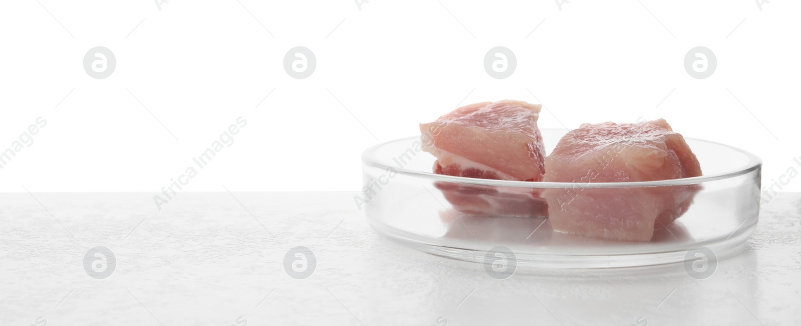 Photo of Petri dish with pieces of raw cultured meat on table against white background, space for text