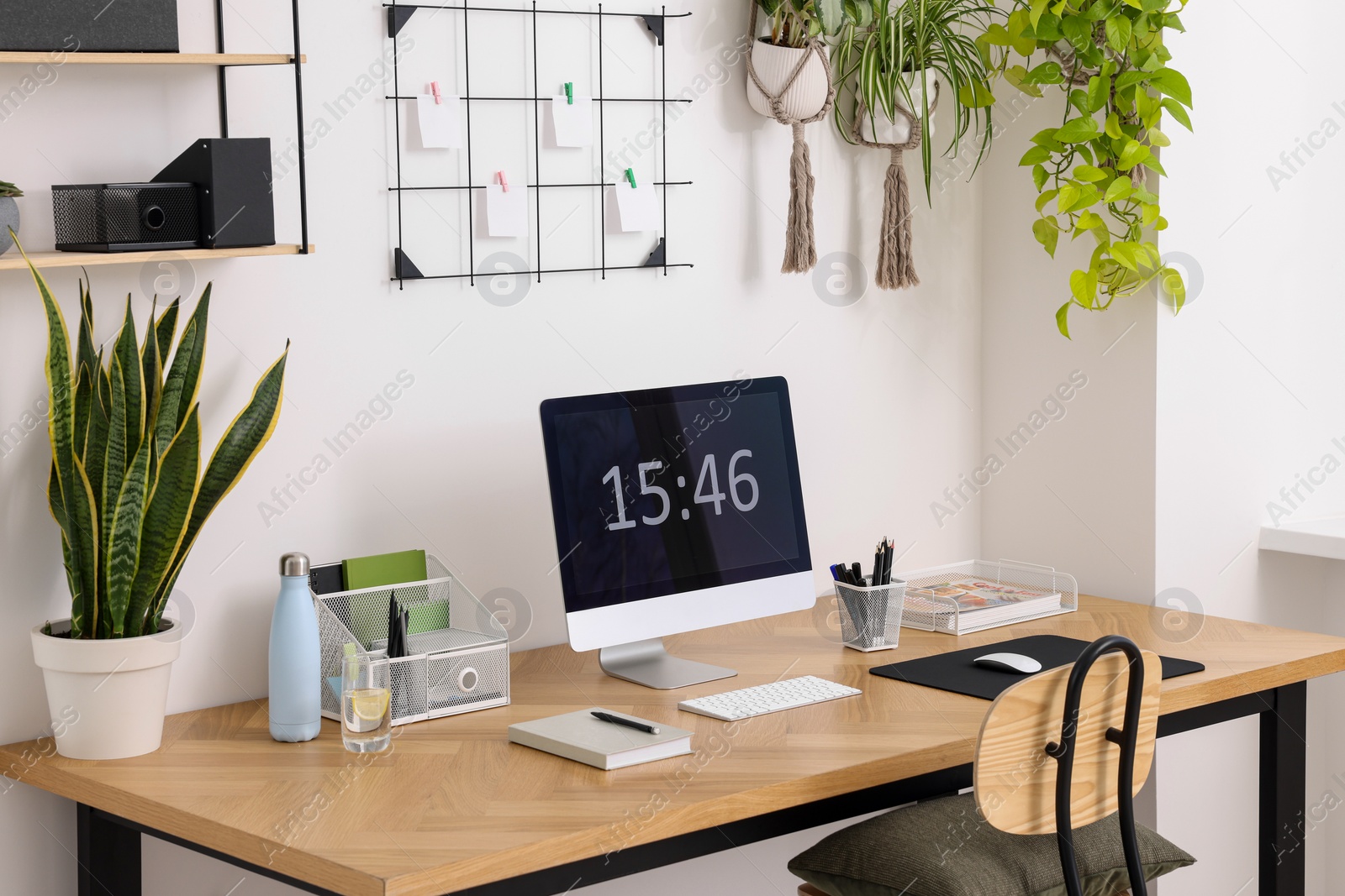 Photo of Cozy workplace with computer, modern furniture and houseplants at home