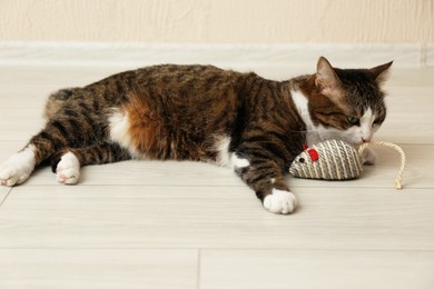 Photo of Cute cat with knitted toy on floor at home. Lovely pet