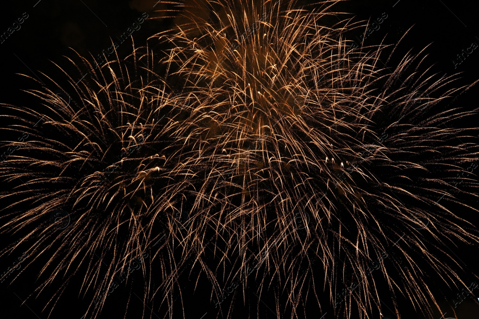 Photo of Beautiful firework lighting up night sky outdoors