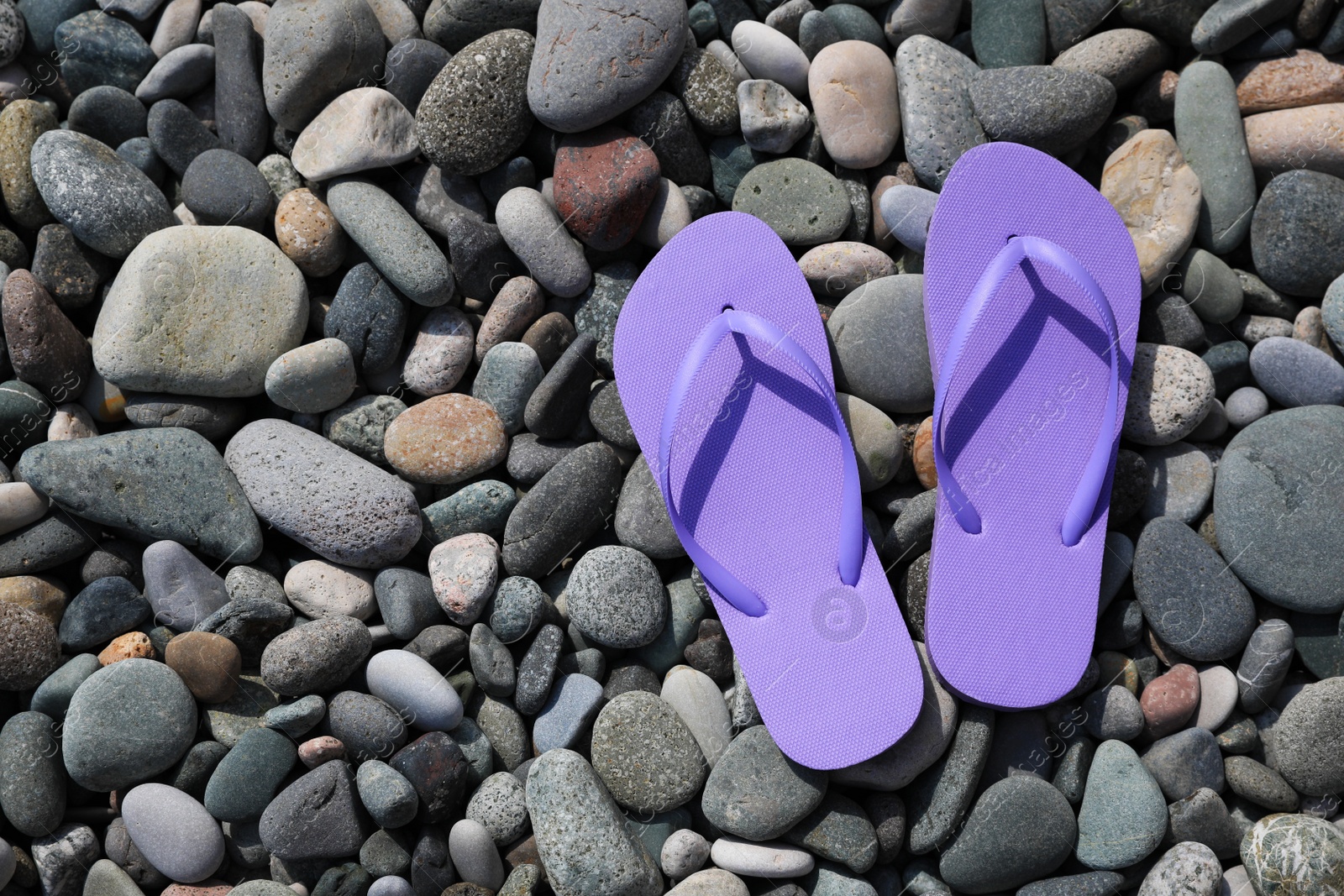 Photo of Stylish lilac flip lops on pebble beach, flat lay. Space for text