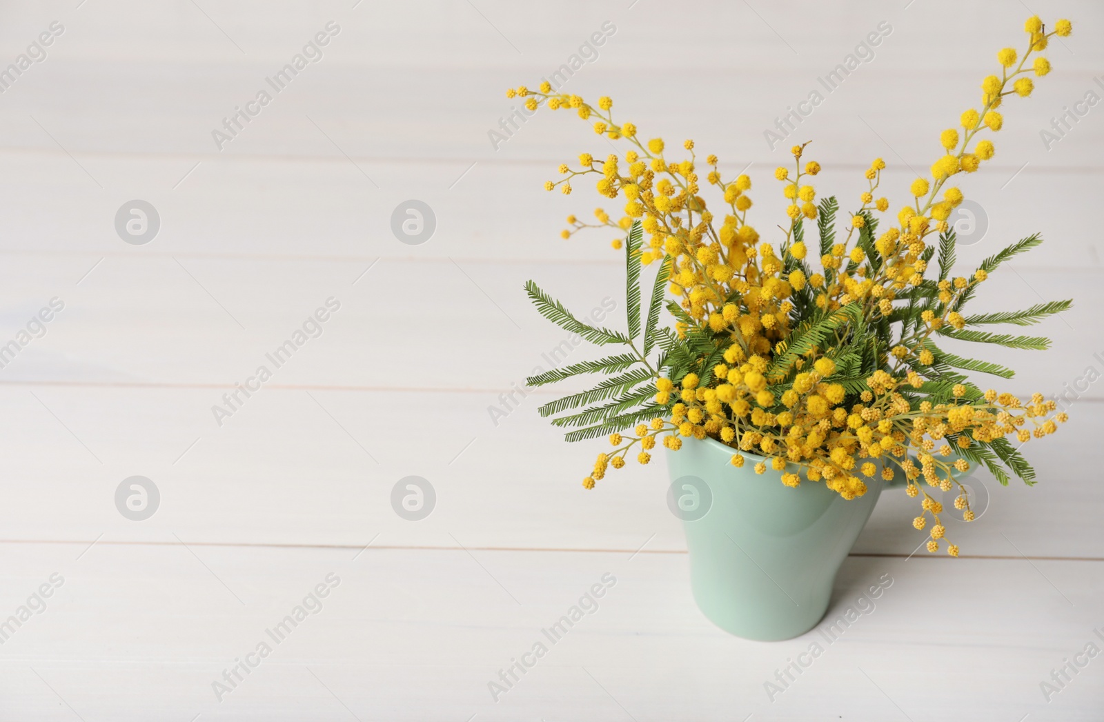 Photo of Bouquet of beautiful mimosa flowers on white wooden table. Space for text