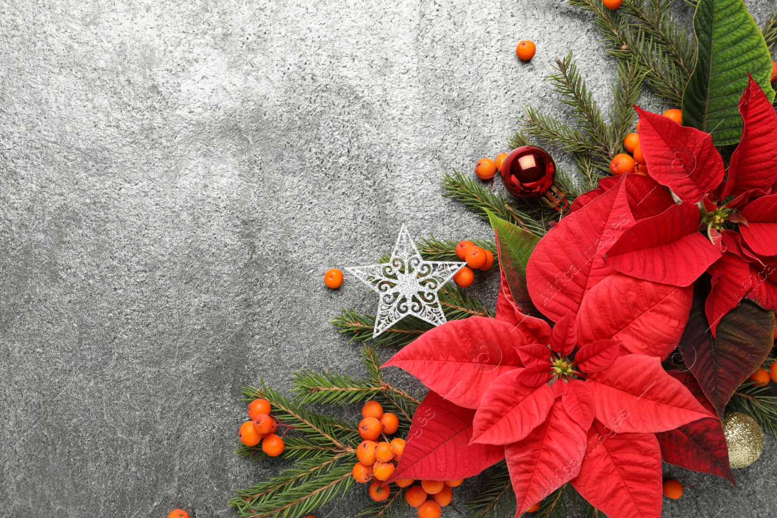 Photo of Flat lay composition with beautiful poinsettia on grey background, space for text. Christmas traditional flower