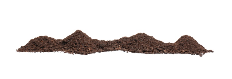 Photo of Pile of humus soil isolated on white