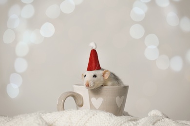Photo of Cute little rat with Santa hat in cup on knitted blanket against blurred lights. Chinese New Year symbol