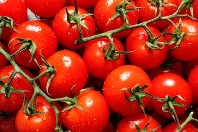 Delicious ripe cherry tomatoes with water drops as background, above view