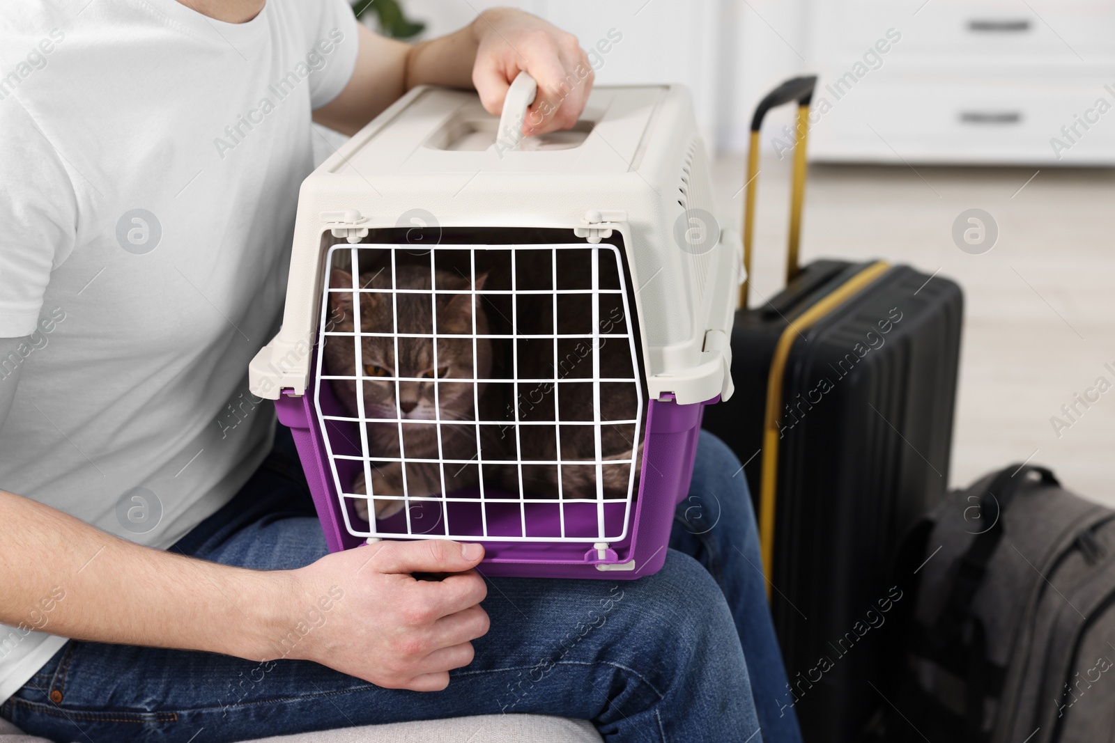 Photo of Travel with pet. Man holding carrier with cute cat indoors, closeup