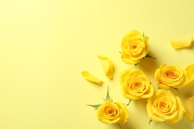 Beautiful roses on yellow background, flat lay. Space for text