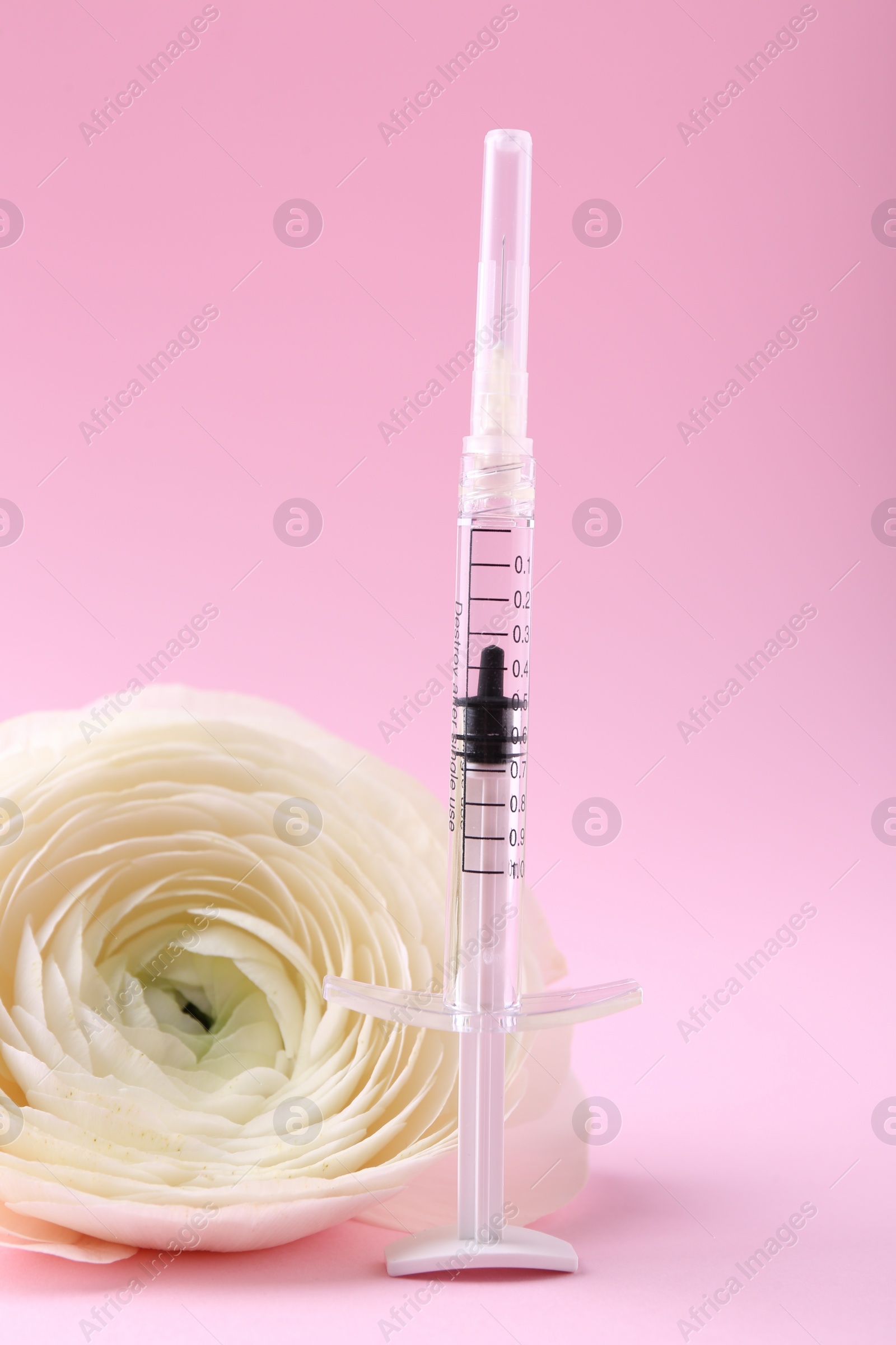 Photo of Cosmetology. Medical syringe and ranunculus flower on pink background