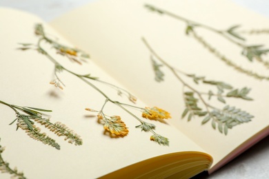 Wild dried meadow flowers in notebook on table, closeup