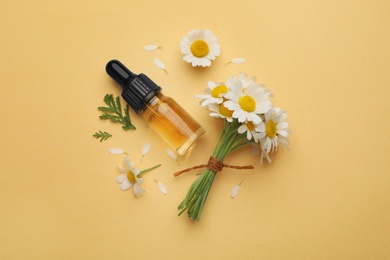 Flat lay composition with chamomile flowers and cosmetic bottle of essential oil on color background