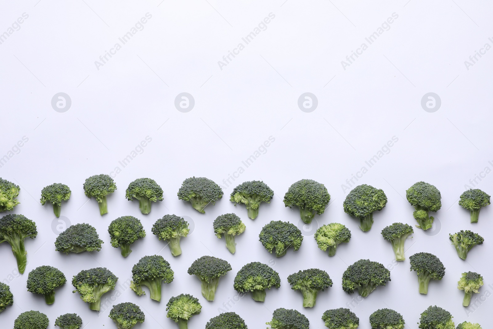 Photo of Many fresh green broccoli pieces on white background, flat lay. Space for text