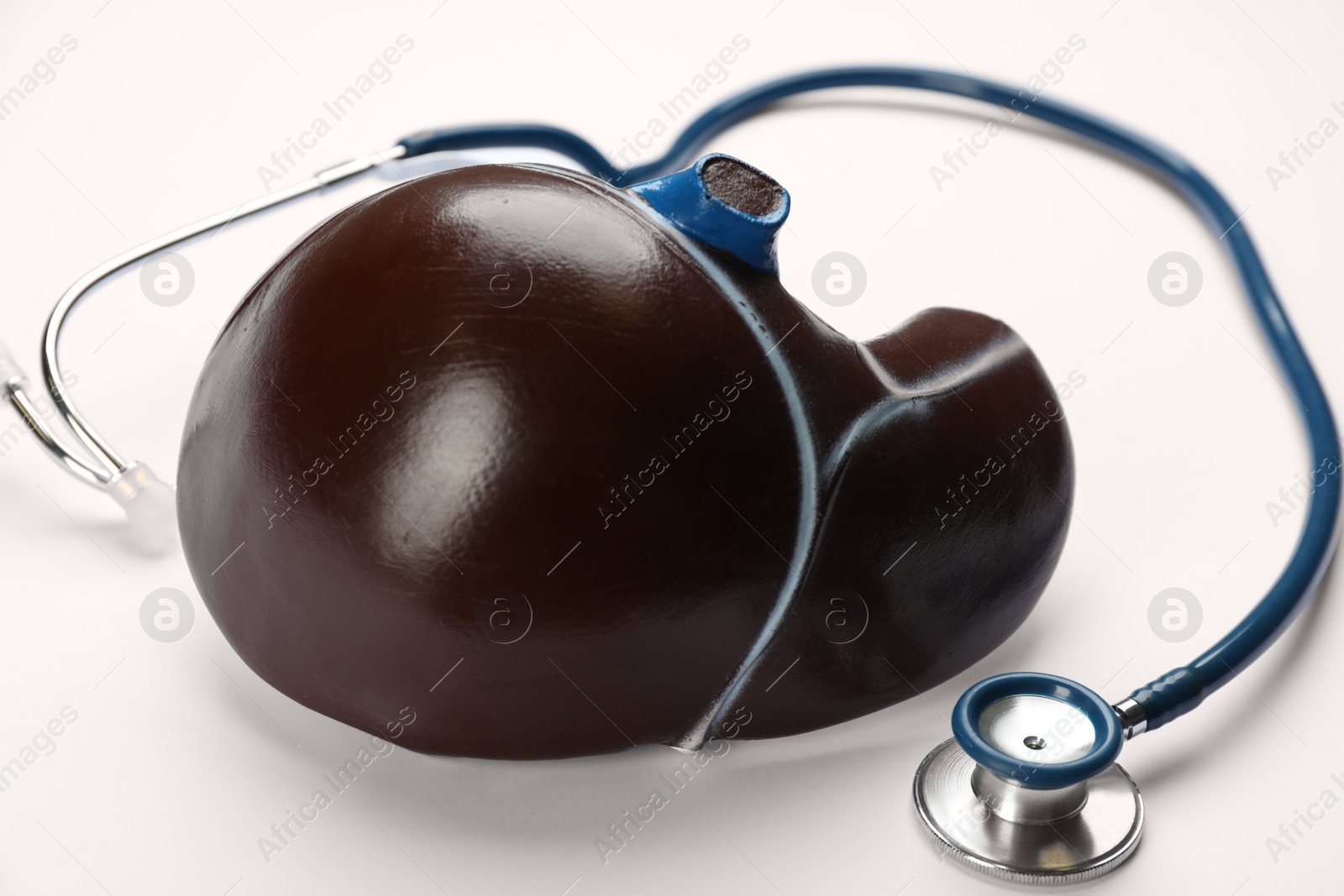Photo of Stethoscope and liver model on white background