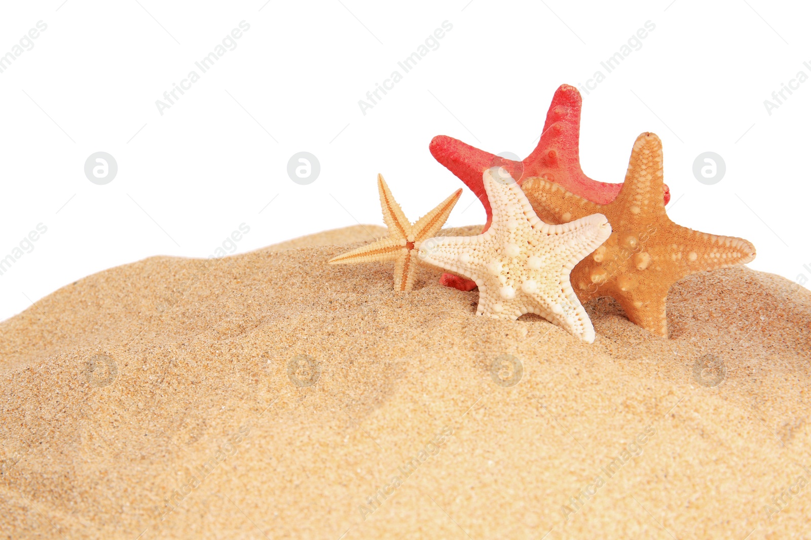 Photo of Sand with many beautiful sea stars isolated on white, space for text