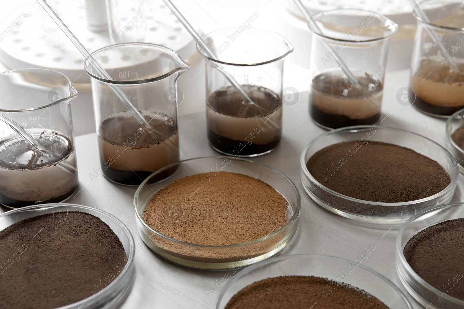 Photo of Glassware with soil samples and extracts on light table. Laboratory research